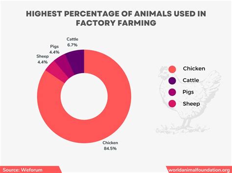 Factory Farming 的图像结果