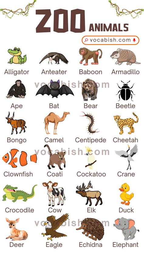 40+ Zoo Animals Names in English with Their Pictures | Vocabish