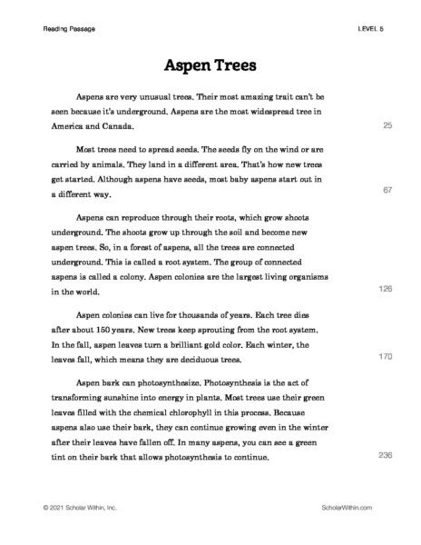 Image result for Reading Speed Test