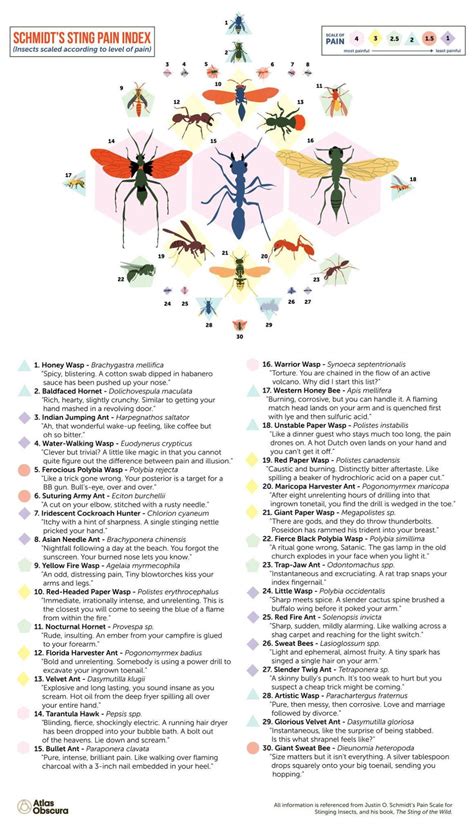 Infographic : Entomologist Justin Schmidt’s Insect Sting Pain Rating ...