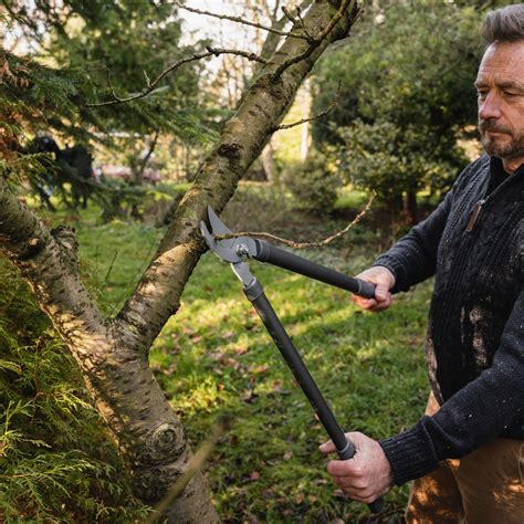 How to Use Loppers 的图像结果