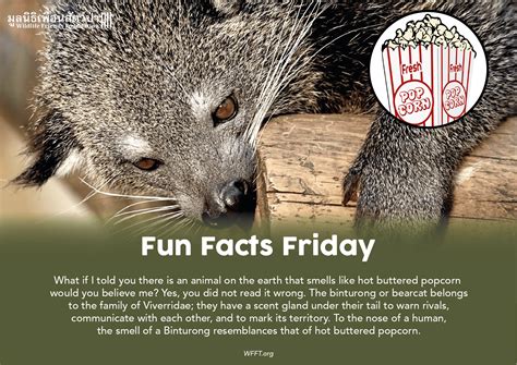 Fun Facts Friday - Wildlife Friends Foundation Thailand