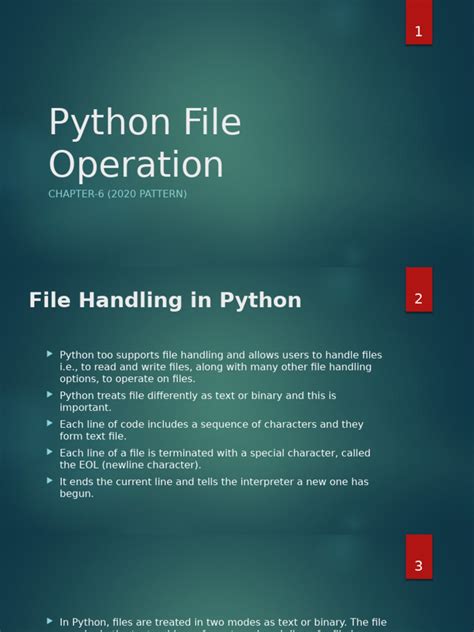 Python File Operation 的图像结果