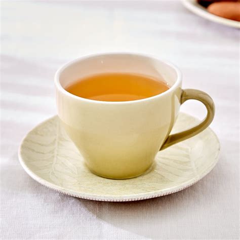 Buy Camellia Bone China Printed Cup and Saucer - 260ml from Home Centre ...