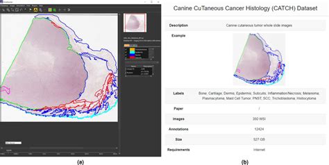 Image result for Software Release Tools Visualization