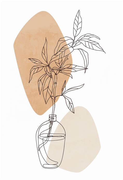 illustrations line