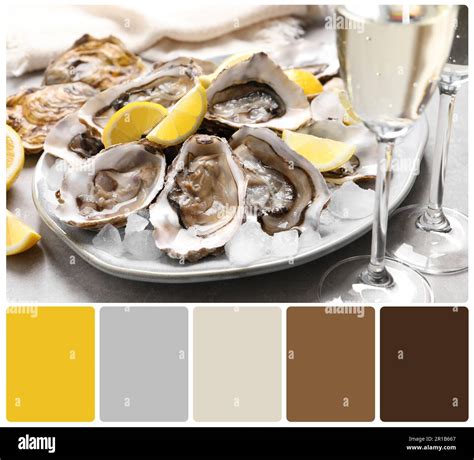 Fresh oysters with lemon and glasses of champagne on table and color ...