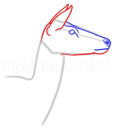 Deer Drawing Tutorial 的图像结果