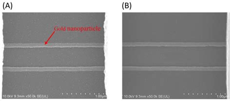 Silicon Nanowire Field-Effect Transistor as Biosensing Platforms for ...