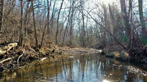 Lake, Springs, Creek And Wooded Acreage In Salem Missouri!