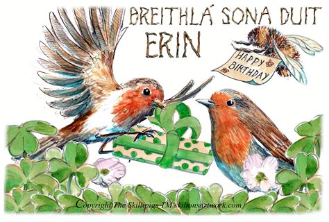 3550 HAPPY BIRTHDAY Card Breithla Sona Duit, Irish Gaelic and English ...