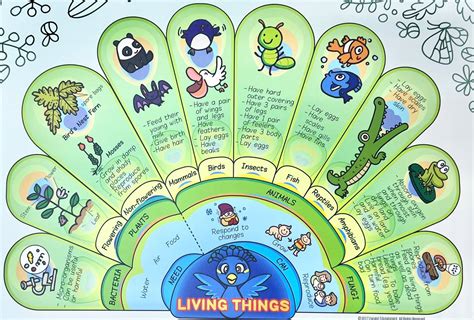 Science Made Easy 的图像结果