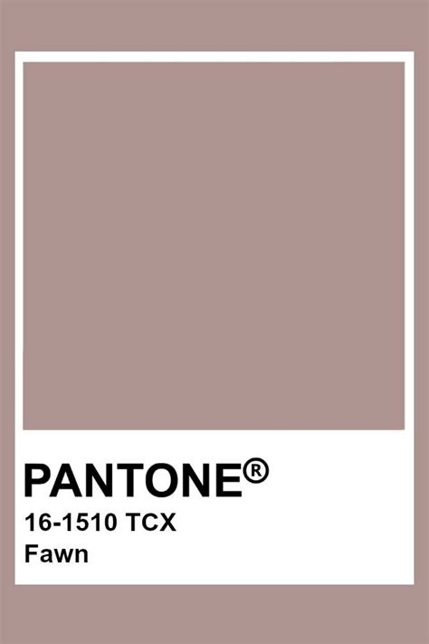 Pantone Fawn | Pantone colour palettes, Pantone color, Pantone palette