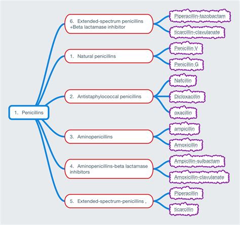 Antibacterial Antibiotics Examples at Bambi Foust blog