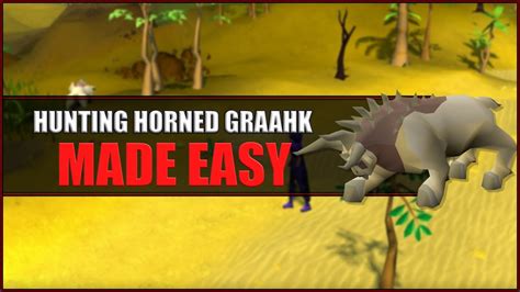 Quick Guide to Hunting Horned Graahk in OSRS | Hunter Guide | Hunters ...