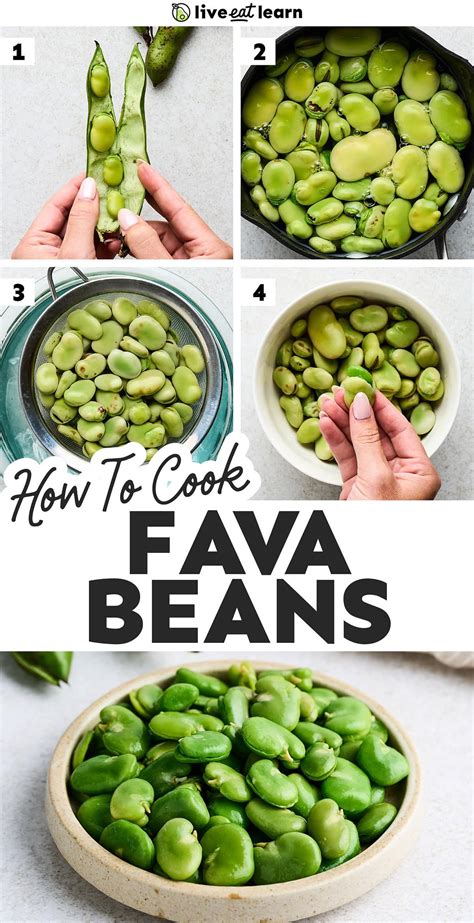Learn how to cook fava beans with this comprehensive guide! We’re ...