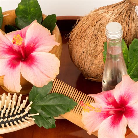 Hibiscus For Hair Growth - Kama Ayurveda