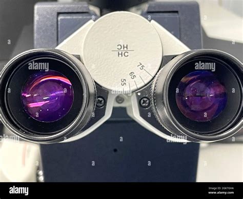 Ocular investigation hi-res stock photography and images - Alamy