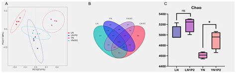 Appropriately Reduced Nitrogen and Increased Phosphorus in Ratooning ...