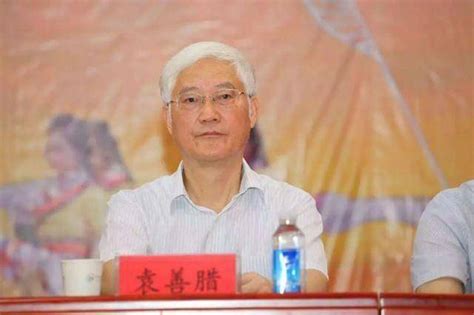 年近70岁的武汉市原副市长袁善腊被开除党籍，大搞“期权腐败”_职务_违法_处分法