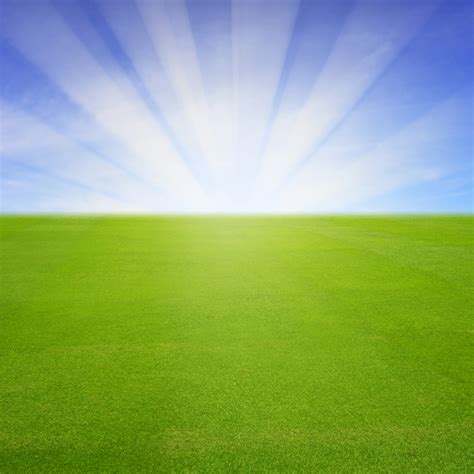 CPM Specials - CPM Federal Credit Union