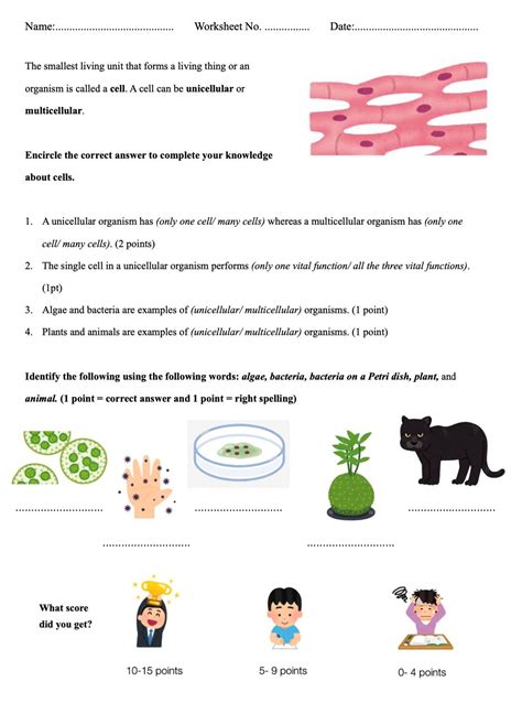 Unicellular vs Multicellular Organisms Worksheet