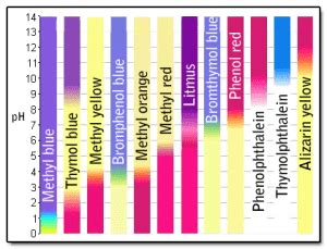 Image result for Using pH Indicators