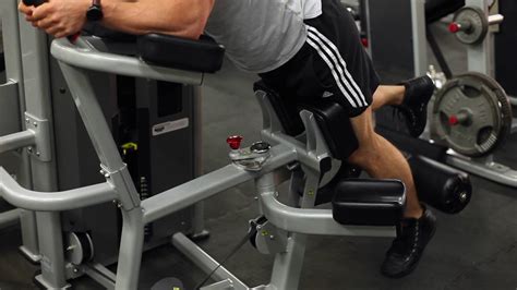 Image result for Hamstring Machine