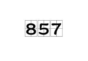 网上看到857 是什么意思（什么是857什么意思）