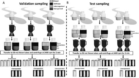 Image result for Both for Sampling Sample Design