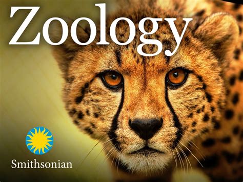 Historical Background Of Zoology at Bill Henson blog