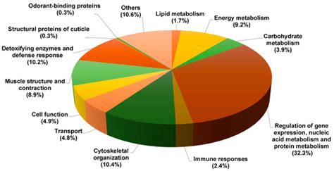 Proteomic Characterization of Drosophila melanogaster Proboscis