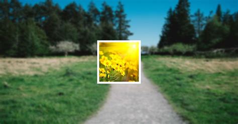 Obituary | Eileen Miles Hawkins | Ozark Funeral Homes