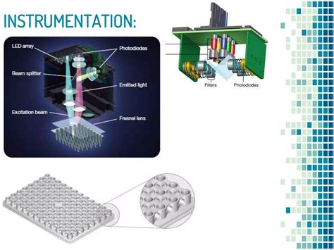 Image result for Real-Time PCR For Dummies