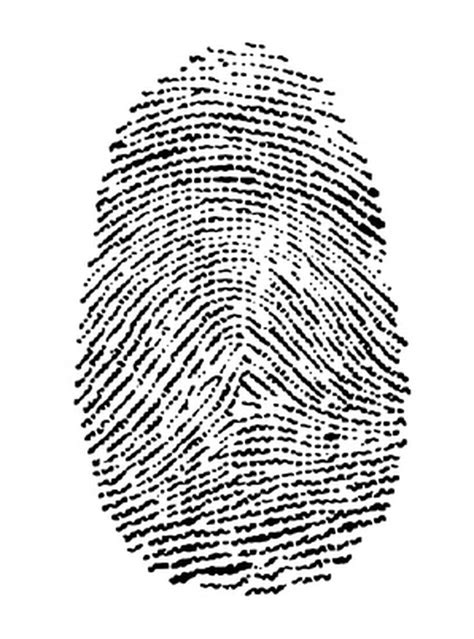 Image result for Fingerprint Science