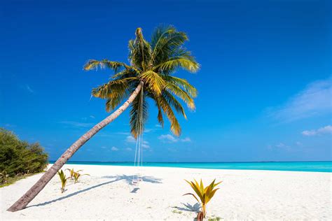 Top 10 Beaches In World: Best Beach In The World 2025 – TZXPTR