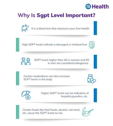 SGPT Normal Range: High Level Causes and Symptoms