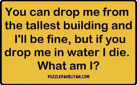 Drop Things Form High Building 的图像结果