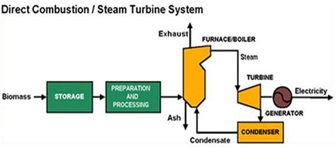 Image result for How Does Biomass Energy Work