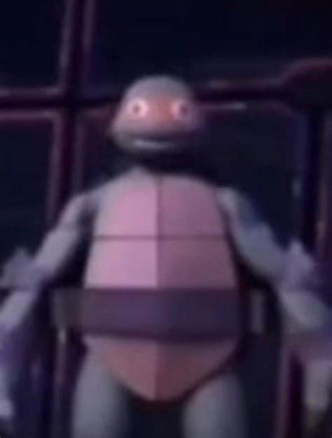 Give me your Mikey reaction images : r/TMNT