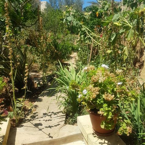 IL-WILEG BED & BREAKFAST (Qala, Island of Gozo, Malta) - Villa Reviews ...