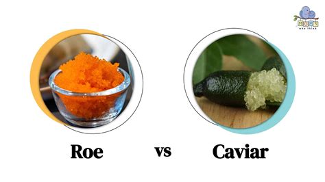Roe vs. Caviar: Key Differences and Why It Matters