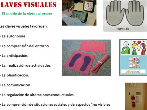 Image result for Ejemplos for De Java