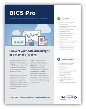 Oracle BICS 的图像结果
