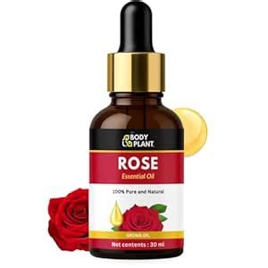 The Body Plant Rose Essential Oil (30 ml) | 100% Pure & Natural | For ...