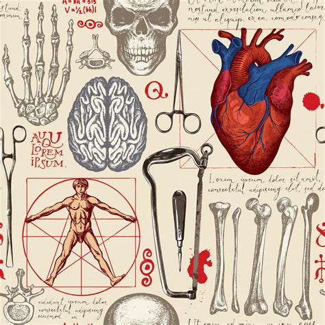 Premium Vector | Anatomy seamless background