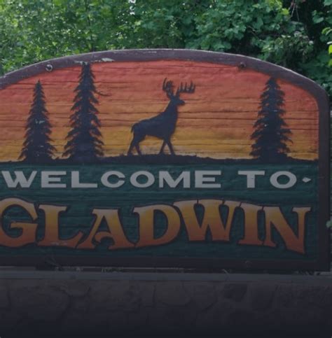 Book Auction - John Peck Auctions