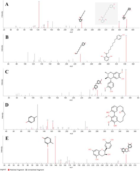 HR-LC-MS based profiling of phytochemicals from methanol extracts of ...