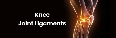 Understanding Knee Joint Ligaments