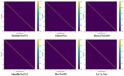 LCA-Net: A Lightweight Cross-Stage Aggregated Neural Network for Fine ...